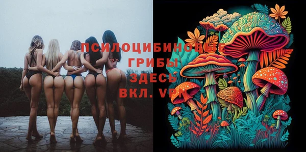 эйфоретик Медвежьегорск