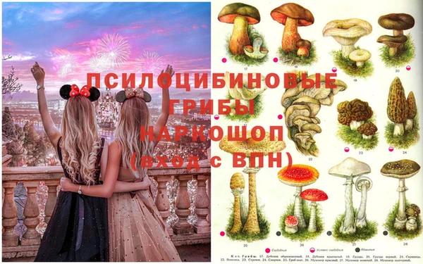 скорость Медногорск