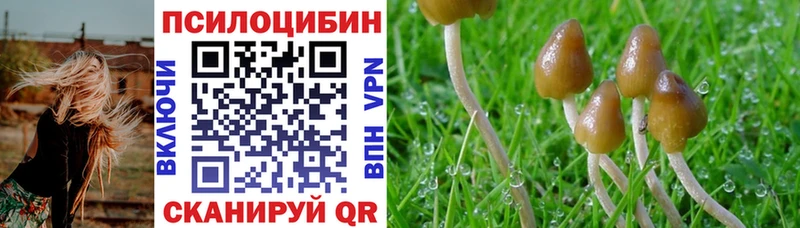 Галлюциногенные грибы Magic Shrooms  Кимовск 